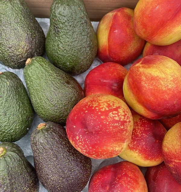 Comprar Aguacates Hass y Nectarinas Online en Tropitop
