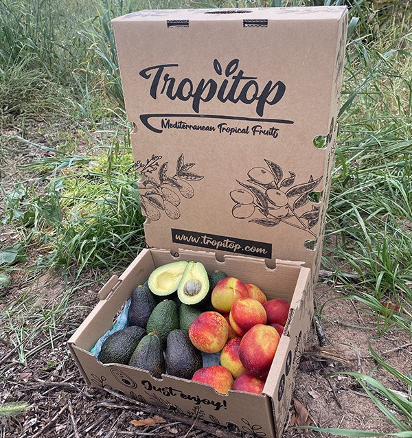 Acheter Avocats Hass et Nectarines en Ligne | Tropitop