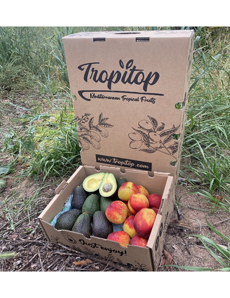 Comprar Aguacates Hass y Nectarinas Online en Tropitop
