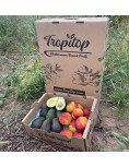 Hass Avocados and Nectarines
