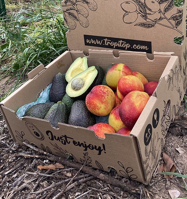 Acquista Avocado Hass e Nettarine Online | Tropitop