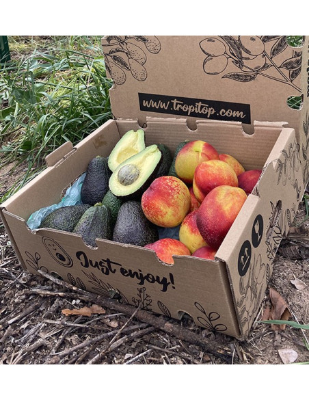 Acheter Avocats Hass et Nectarines en Ligne | Tropitop