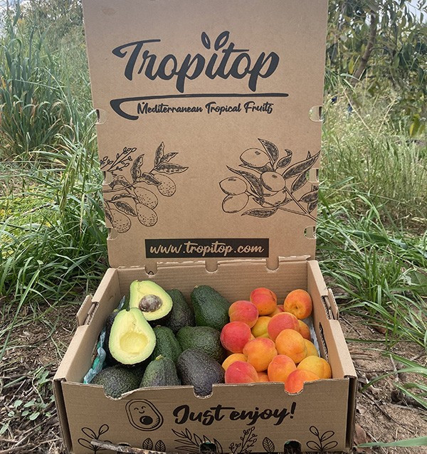 Acheter Avocats Hass et Abricots en Ligne | Tropitop