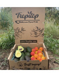 Hass Avocados and Apricots