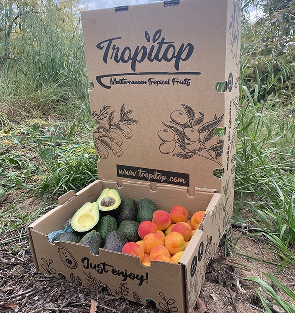 Acheter Avocats Hass et Abricots en Ligne | Tropitop