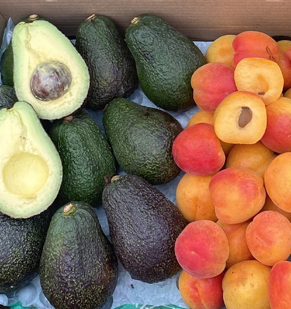 Buy Hass Avocados and Apricots Online | Tropitop