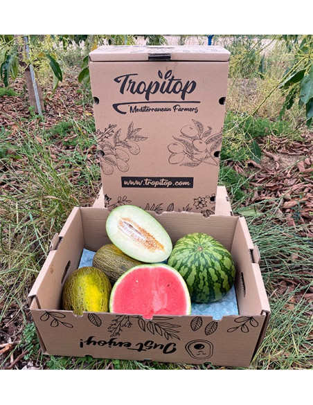 Compra Anguria Striata e Meloni Piel de Sapo Online | Tropitop