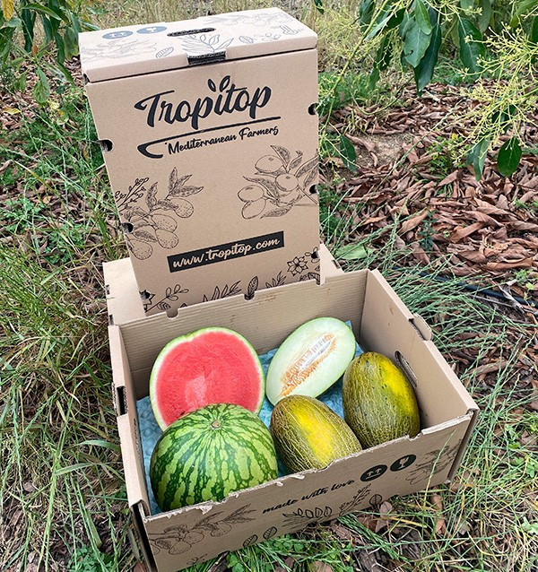 Acheter Pastèque Rayée et Melons Piel de Sapo en ligne | Tropitop