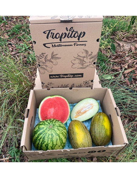 Acheter Pastèque Rayée et Melons Piel de Sapo en ligne | Tropitop