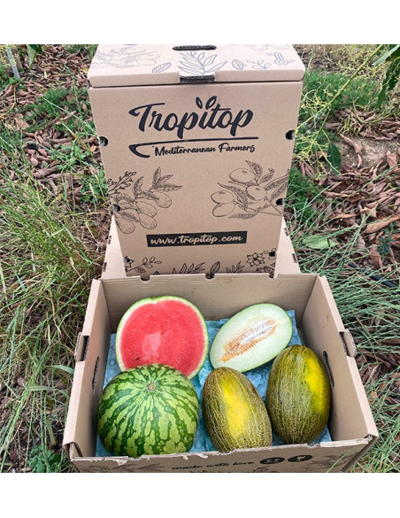 Acheter Pastèque Rayée et Melons Piel de Sapo en ligne | Tropitop