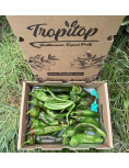 Pimentos italianos