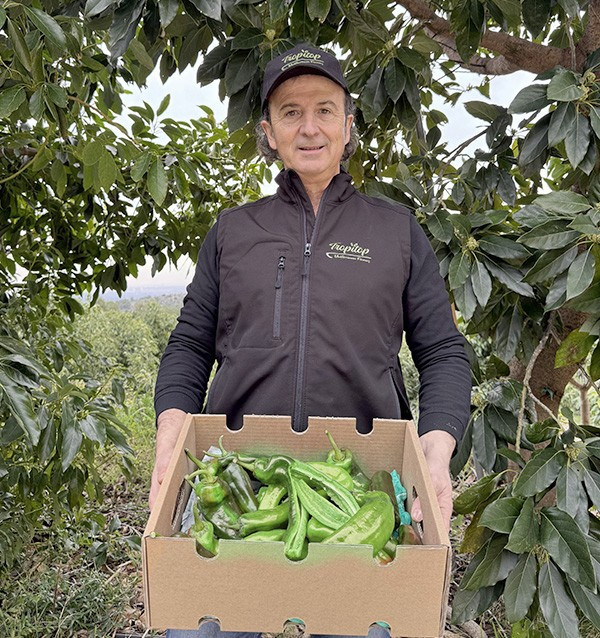 Comprar Pimientos Italianos Rojos Online en Tropitop