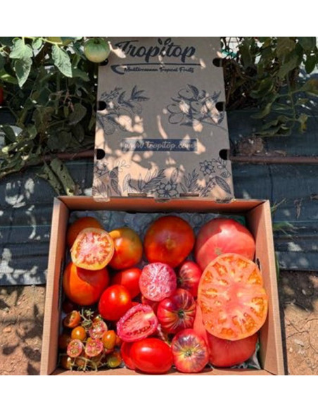 Comprar Pack de Tomates Variados da Época Online | Tomates Premium | Tropitop