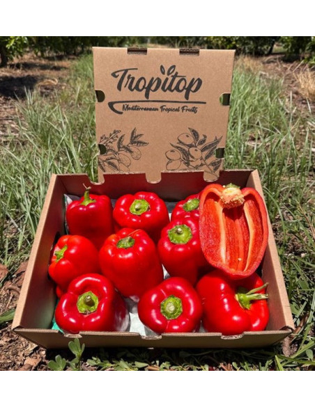Buy Red Bell Peppers Online | Roasting Peppers | Tropitop