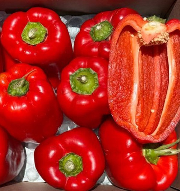Comprar Pimentos Vermelhos Morrón Online | Pimentos para Assar | Tropitop 2