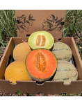 Confezione di meloni Galia e Cantalupo