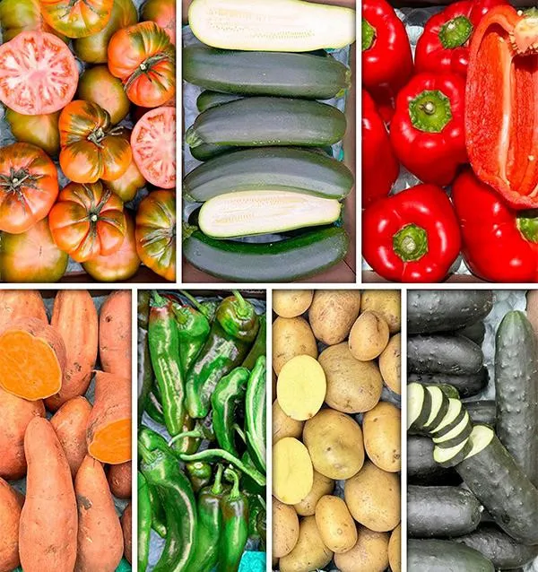 Grande boîte de légumes Tropitop
