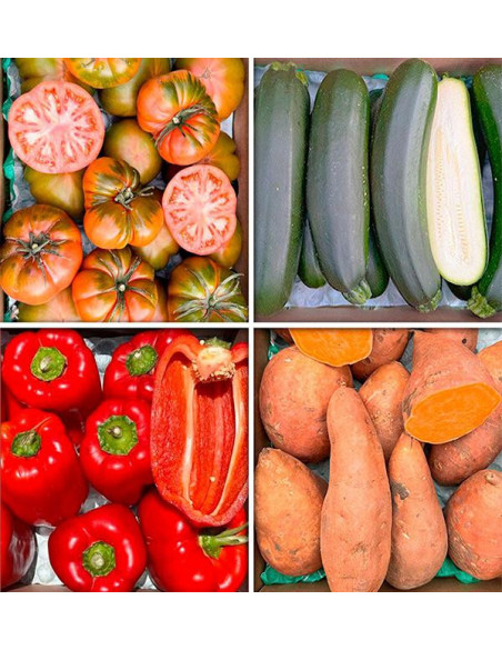 Comprar Caixa de Legumes da Estação Online na Tropitop