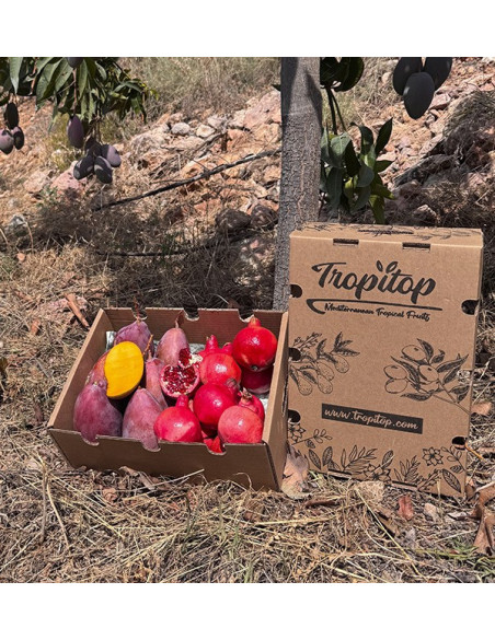 Comprar granada y mango online en Tropitop