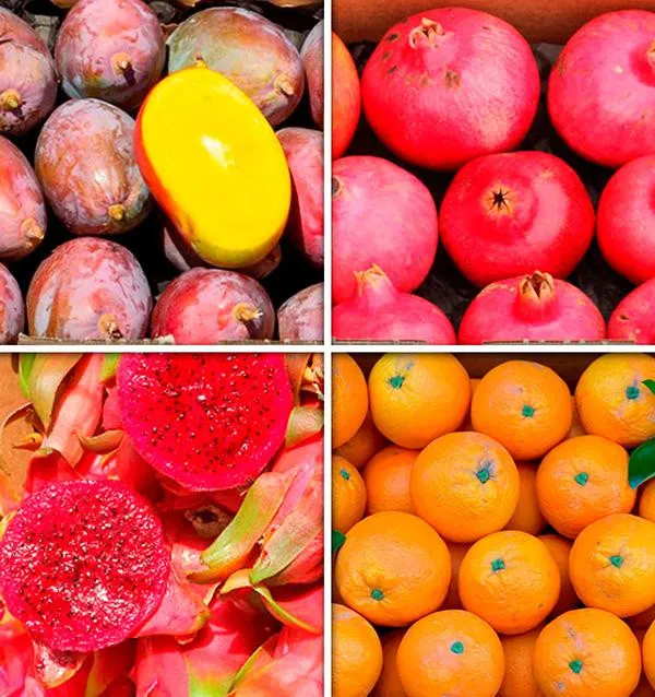 Small fruit box