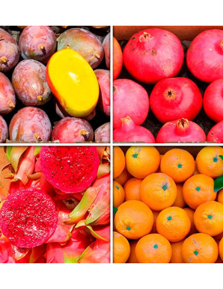 Acquista la Scatola di Frutta di Stagione Online su Tropitop