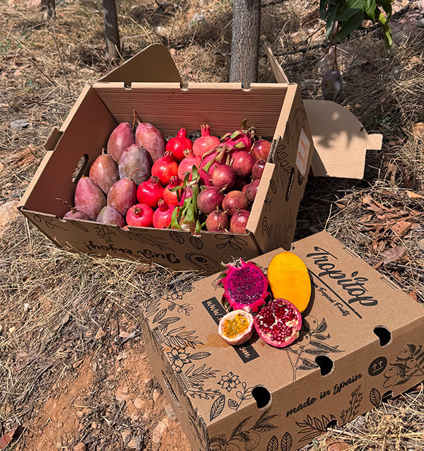 Tropenpaket kaufen: Fruta de la Pasión, Pitahaya, Mango und Granatapfel | Tropitop