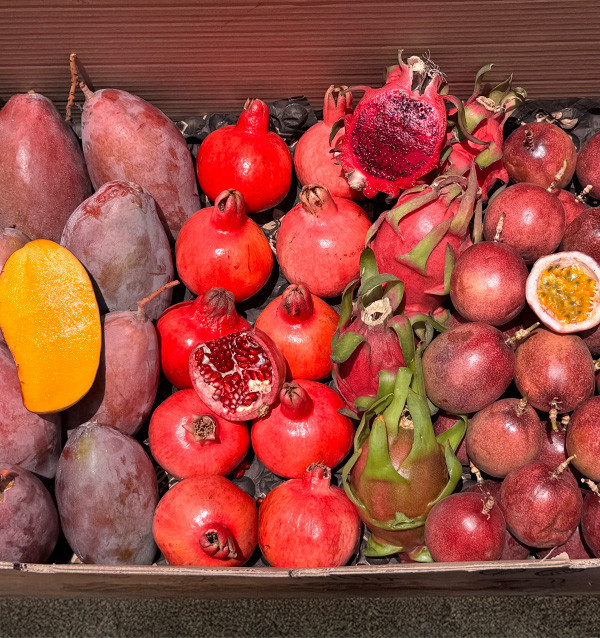 Comprar Pack Tropical: fruta de la pasión, pitahaya, mango y granada | Tropitop