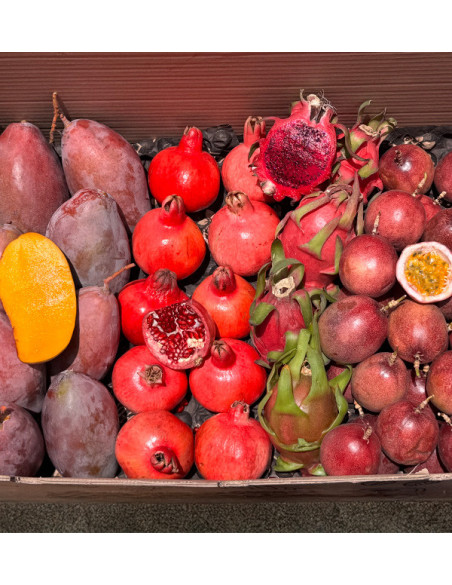 Tropenpaket kaufen: Fruta de la Pasión, Pitahaya, Mango und Granatapfel | Tropitop Tropenpaket kaufen: Fruta de la Pasión, Pitahaya, Mango und Granatapfel | Tropitop
