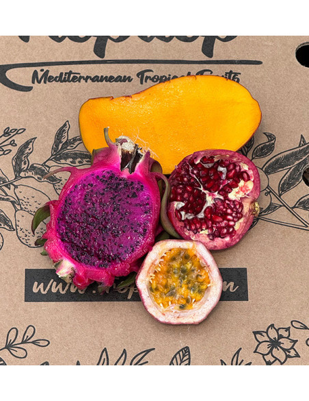 Tropenpaket kaufen: Fruta de la Pasión, Pitahaya, Mango und Granatapfel | Tropitop Tropenpaket kaufen: Fruta de la Pasión, Pitahaya, Mango und Granatapfel | Tropitop