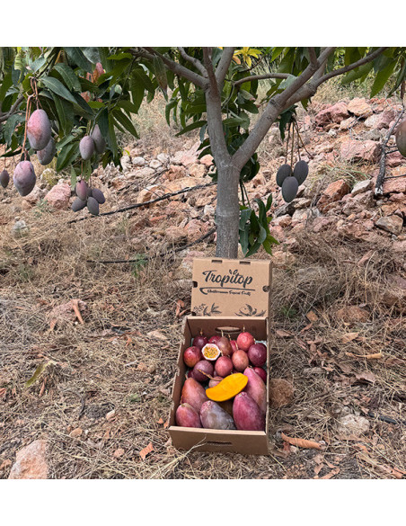 Acquista Mango e Frutto della Passione Freschi Online | Tropitop Spagna Acquista Mango e Frutto della Passione Freschi Online | Tropitop Spagna
