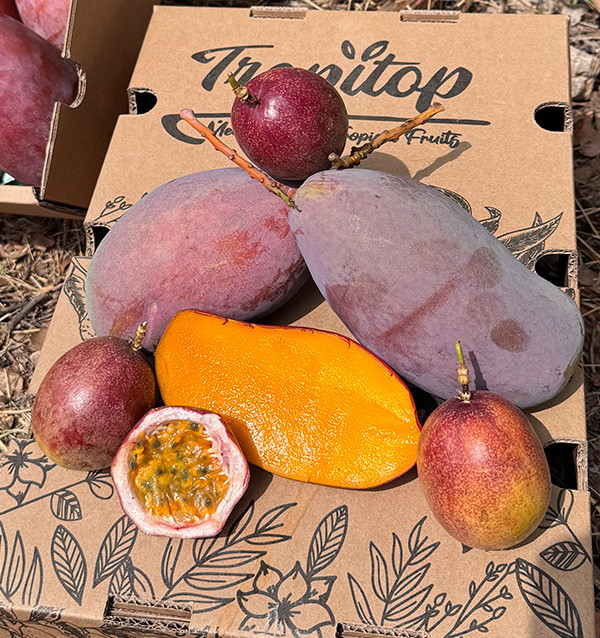 Acheter Mangue et Fruit de la Passion Frais en Ligne | Tropitop Espagne
