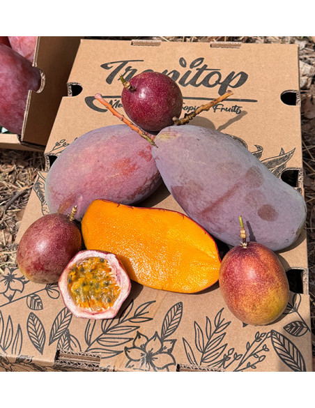 Mango y Fruta de la Pasión