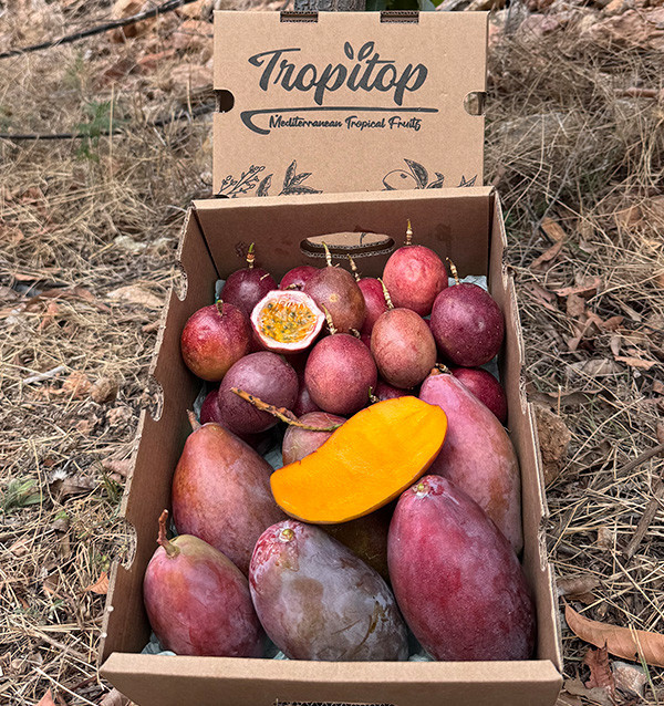 Mango y Fruta de la Pasión