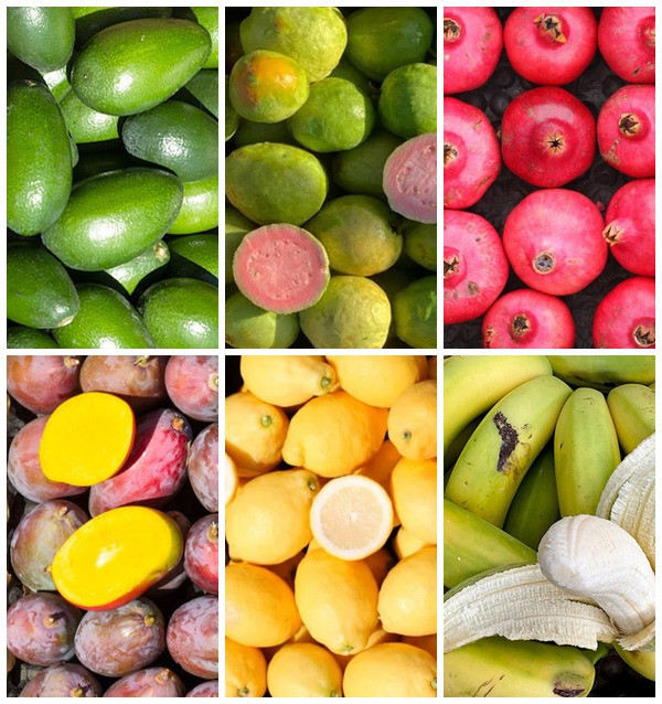 Saisonale Obstbox online bei Tropitop kaufen