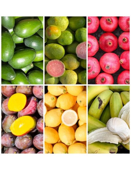 Acquista la Scatola di Frutta di Stagione Online su Tropitop