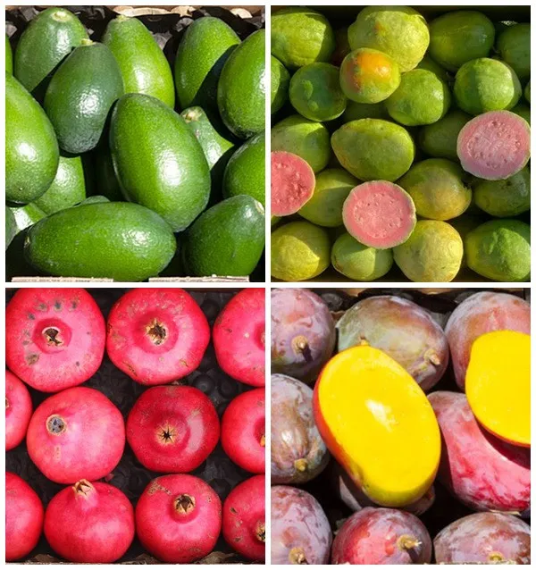 Cassetta di frutta piccola