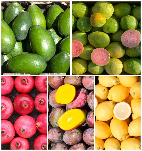 Cassetta di frutta media
