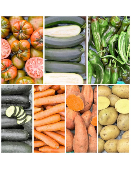 Comprar Caja de Verduras de Temporada Online en Tropitop