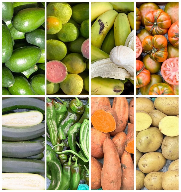 Acquista la Cassetta di Frutta e Verdura di Stagione Online su Tropitop