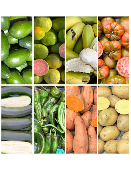 Acquista la Cassetta di Frutta e Verdura di Stagione Online su Tropitop