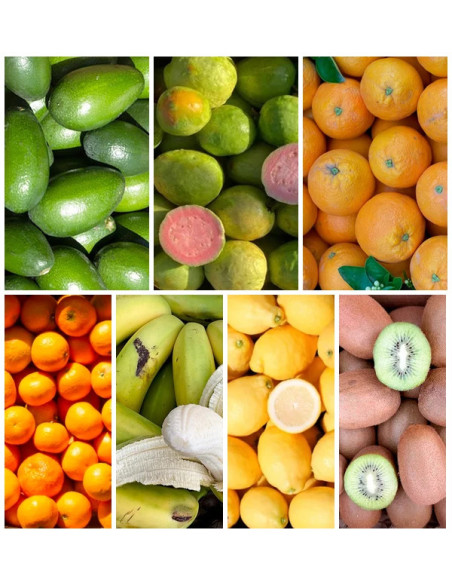 Buy Seasonal Fruit Box Online at Tropitop