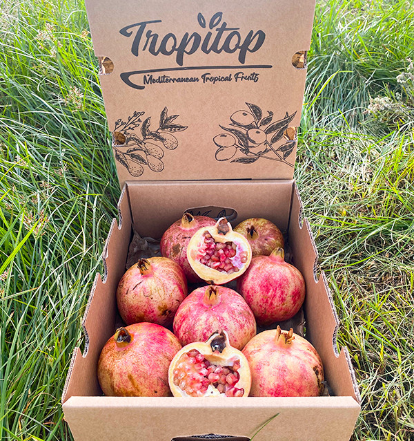 Comprar granadas online en Tropitop