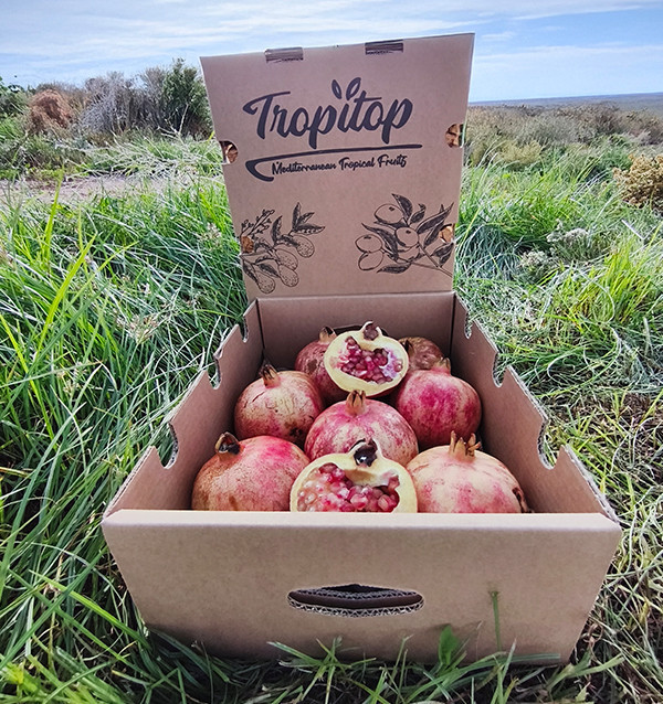 Comprar romãs online na Tropitop