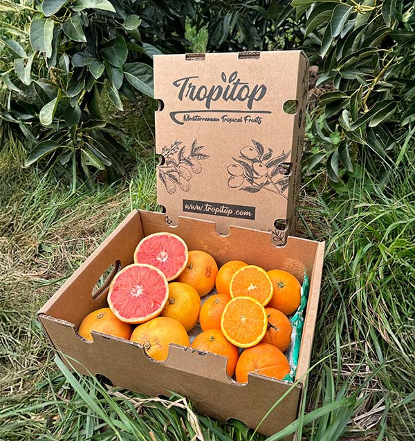 Comprar laranjas e toranjas