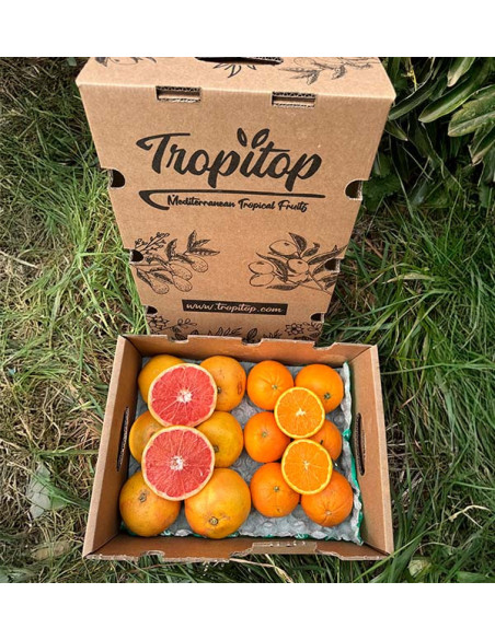 Achetez des pamplemousses et des oranges directement du fermier