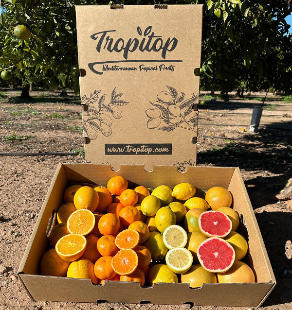 Citrus Black Friday Pack – 8 kg of oranges and mandarins on offer online
