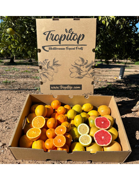 Citrus Black Friday Pack – 8 kg of oranges and mandarins on offer online