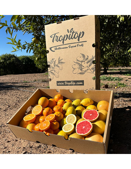 Citrus Black Friday Pack – 8 kg of oranges and mandarins on offer online