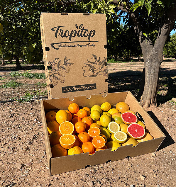 Citrus Black Friday Pack – 8 kg of oranges and mandarins on offer online