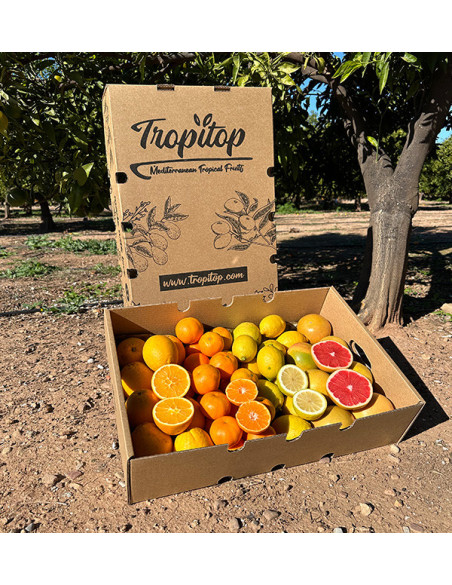 Citrus Black Friday Pack – 8 kg of oranges and mandarins on offer online